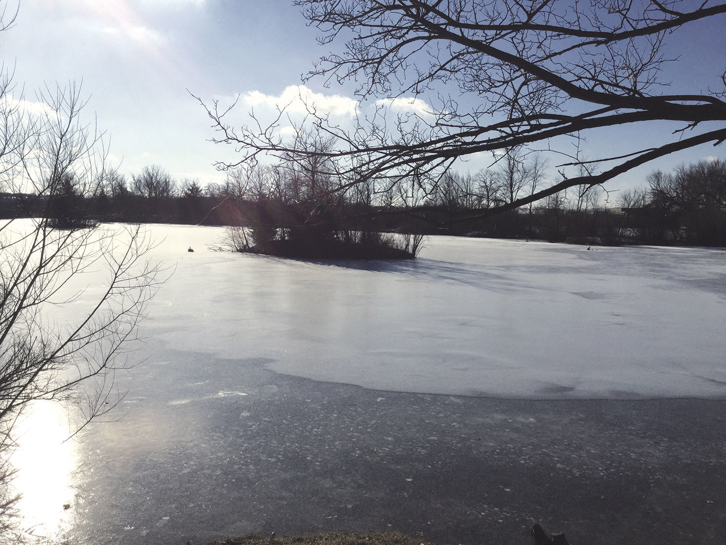On Heiden Pond